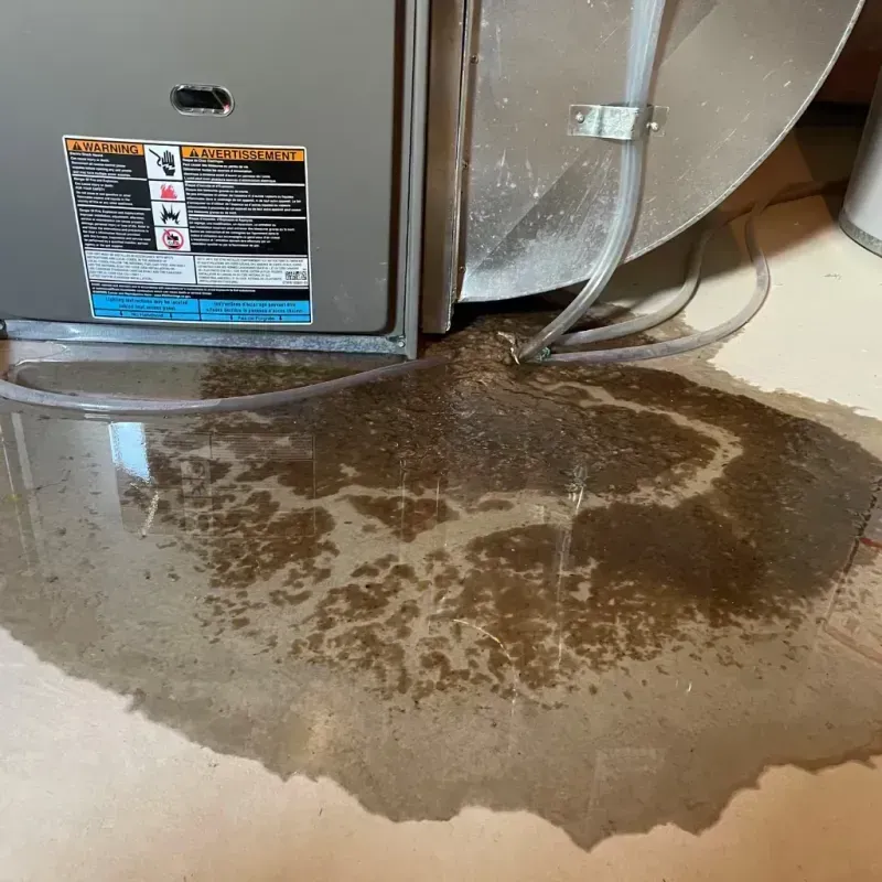 Appliance Leak Cleanup in Eutaw, AL